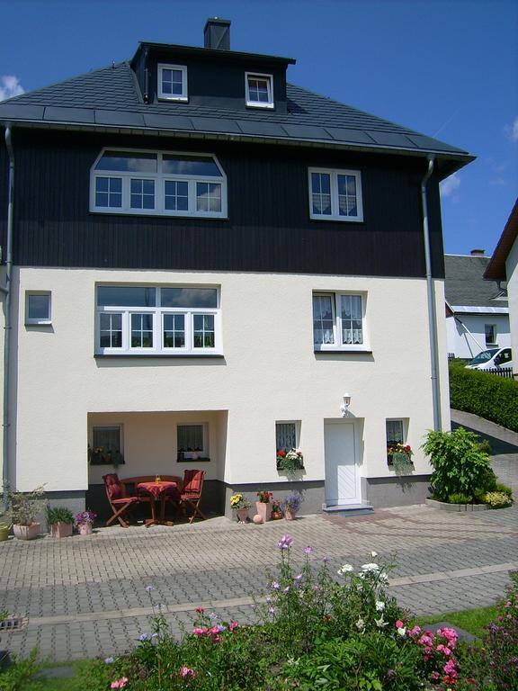 Am Duerrenbachtal Apartamento Klingenthal Exterior foto